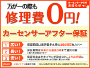 ルノー ルーテシア ゼン　MT車 カロッツェリアナビ ドラレコ